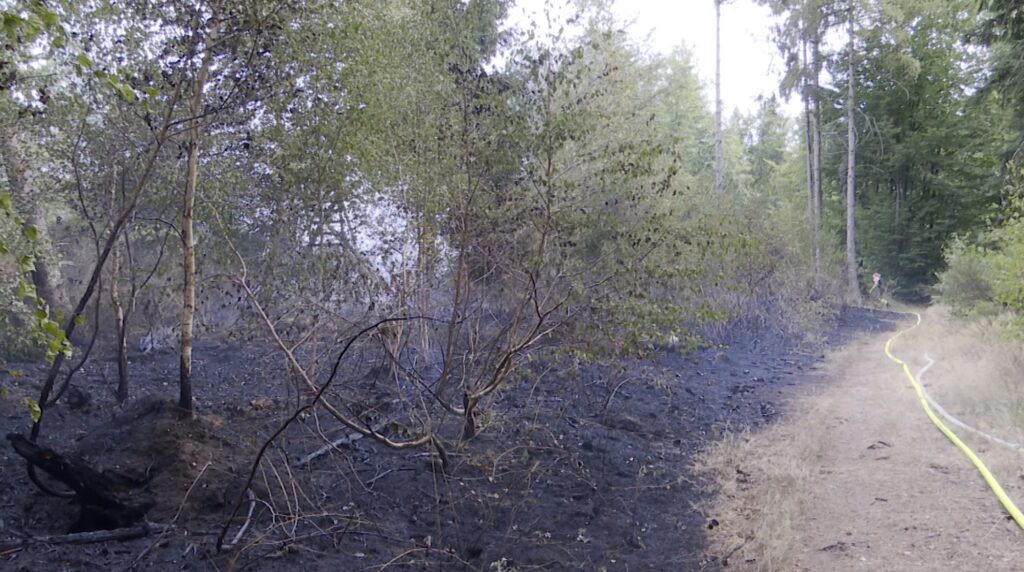 Waldbrand Im J Gersburger Wald Feuerwehr Im Gro Einsatz