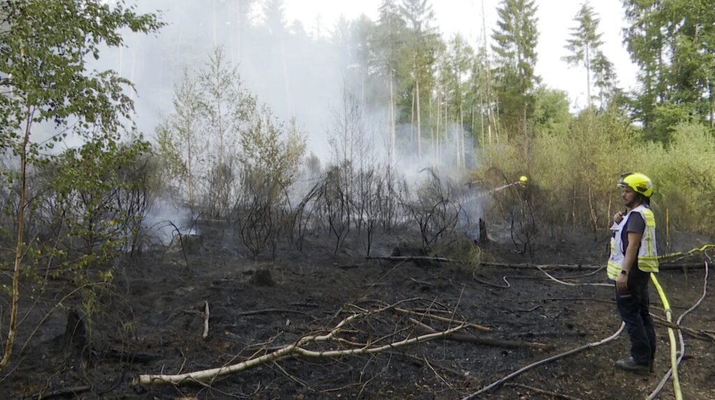 Waldbrand Im J Gersburger Wald Feuerwehr Im Gro Einsatz