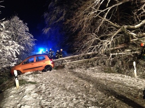 BeinaheCrash mit umgestürztem Baum bei Oberwürzbach